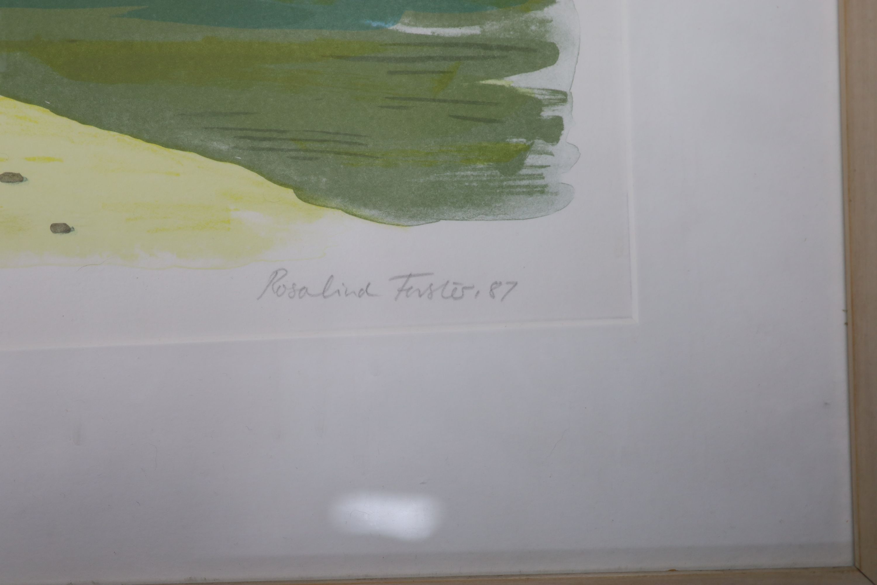 Rosalind Forster (1948-), lithograph, 'Nattamella', signed and dated '87, 59 x 76cm